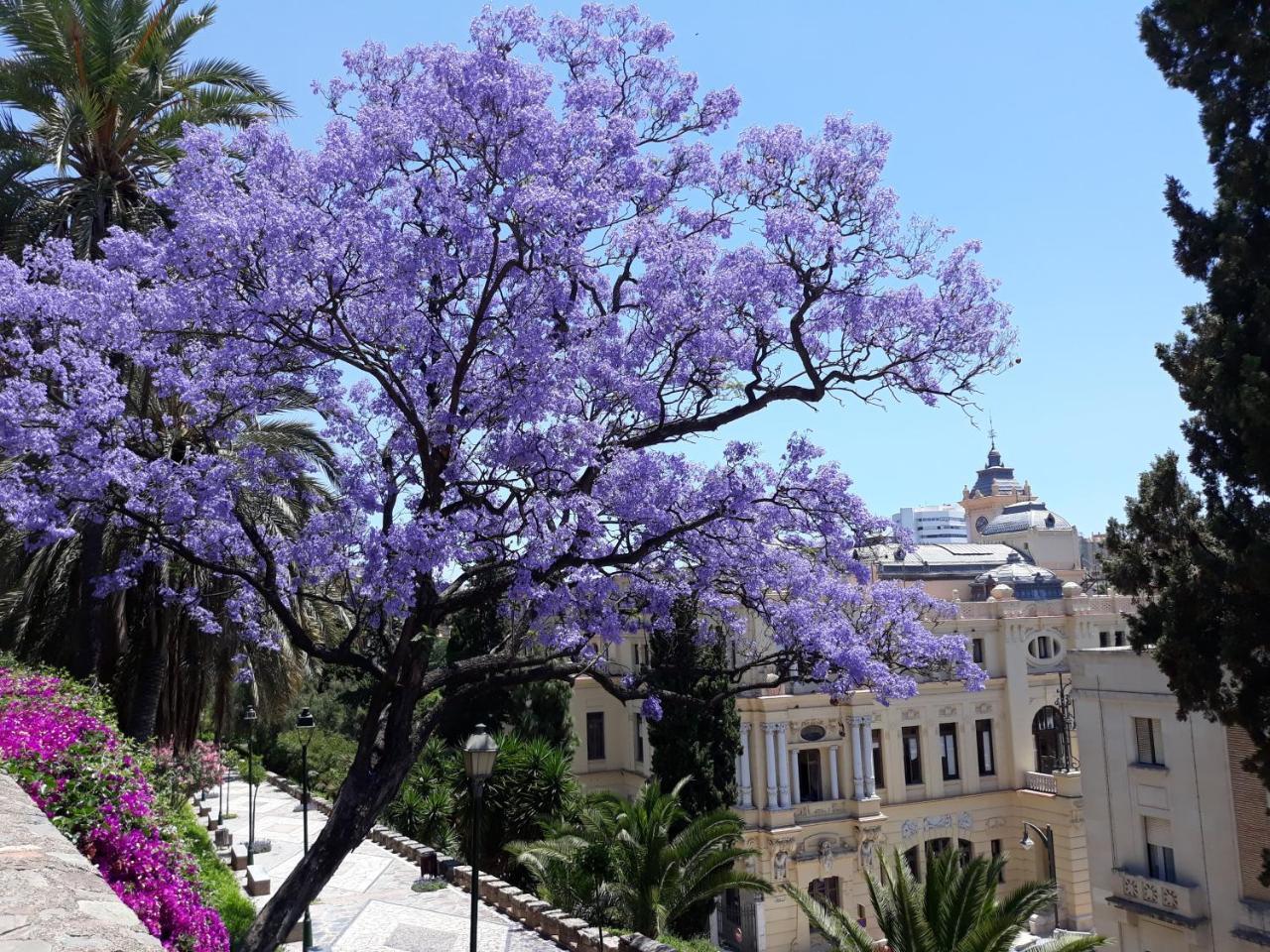 Stay Home & Away In The Heart Of Historical Town Of Málaga Eksteriør bilde